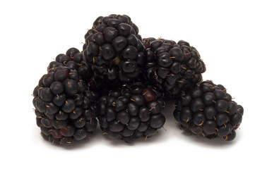Brombeeren