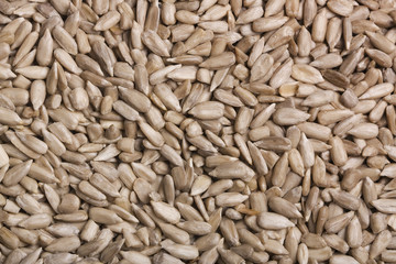 Close-up of shelled sunflower seeds
