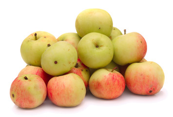 Fresh apples  just from apple tree on white background