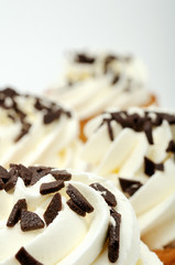 Vanilla Ice-Cream with Chocolate Chips