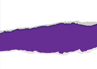 purple torn strip background