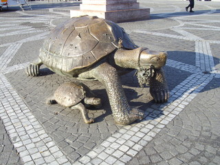 Tortues sur la Place de la Victoire