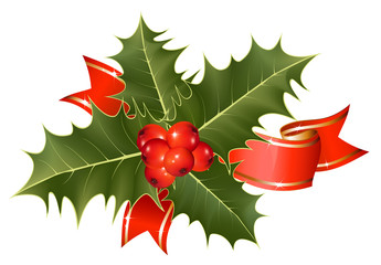 Vector. Christmas decoration: holly with berries.