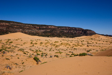 Dune View in Coral Pink Sand Dunes State Park