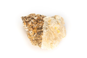 jurassic sponge (hyalotragos)