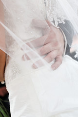 Obraz na płótnie Canvas main à travers le voile de la mariée