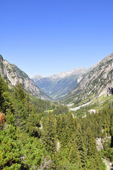 Fototapeta premium Haslital, Berner Oberland