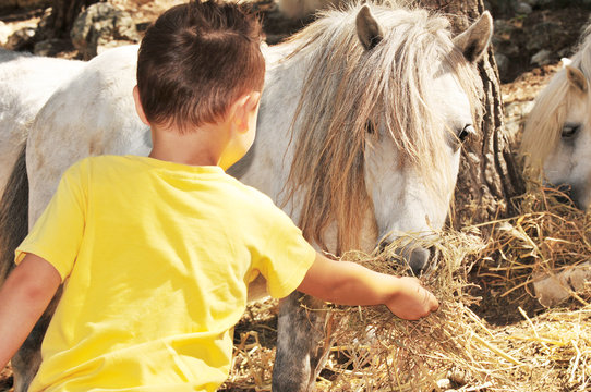 Tierfreund