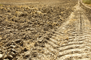 Fresh tractor track in the dirt © jordano