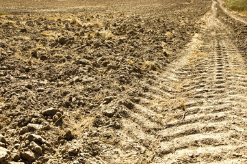 Fresh tractor track in the dirt