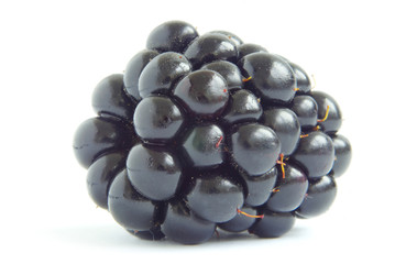 blackberry