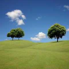 A Country Landscape with Trees and Grass Hills
