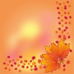 Naklejka na ściany i meble Autumn background with maple leaves, part 1, vector