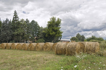 Rolling haystacks.