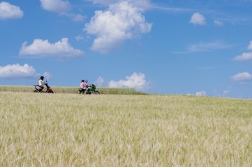 Obraz premium Slow Biking