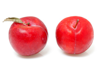two red plums over white background