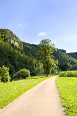Fototapeta na wymiar Dolina Dunaju w Sigmaringen