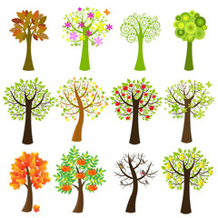 Collection Of Trees