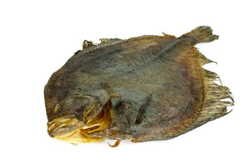 Salted turbot flatfish
