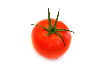 tomato 3_0932