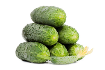 Green cucumber vegetable with  flowers isolated