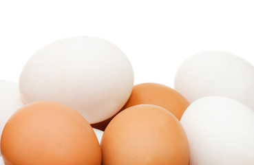 chicken eggs on a white background