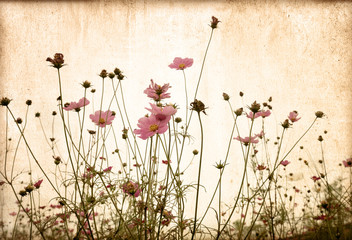 old flower paper textures.