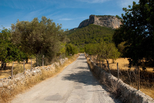 Camino Castillo de Alaro