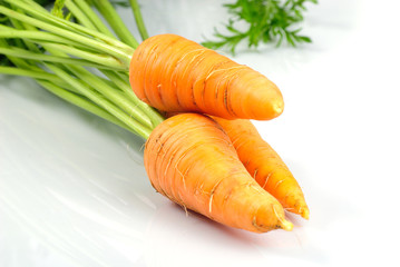 Carrot isolated