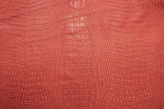 Crocodile leather skin imitation (alligator)