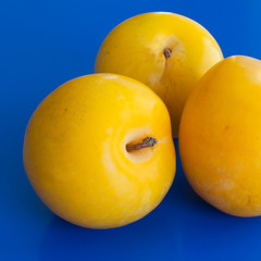 Three yellow plums with blue background.