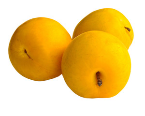 Three yellow plums isolated on white.