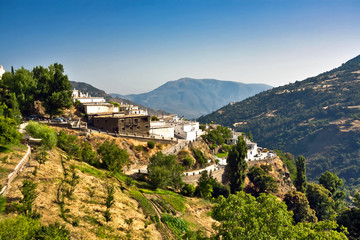 Fototapeta na wymiar View on fields of Andalusia in Spain