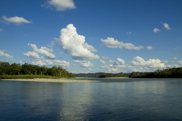 Jungle and river in the Amazon rainforest