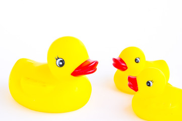 rubber duck toy family