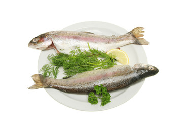 Two rainbow trout with herbs on a plate