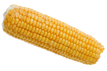 corn