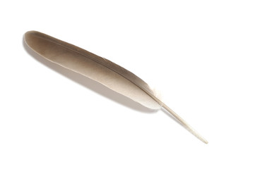Feather