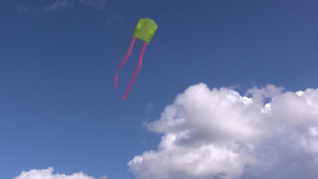 Kite flying in a summer sky