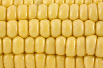 Corn