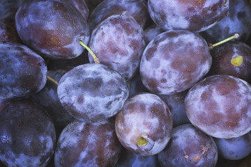 Ripe blue plums close up