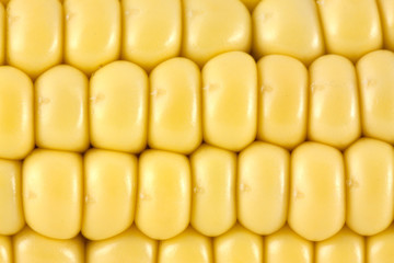 Corn