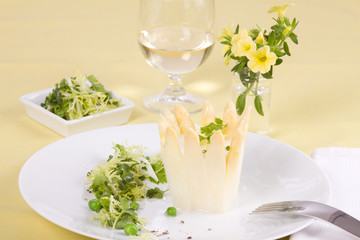 Chartreuse vom Spargel