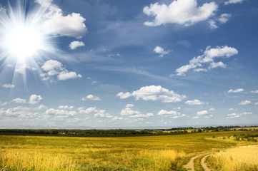 field on a sunset under blue sky