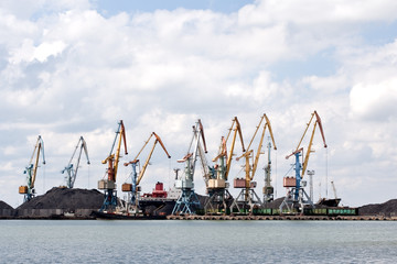 seaport with the tower cranes