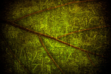 Fototapeta na wymiar Grunge leaf