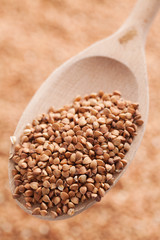 buckwheat in wooden spoon