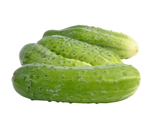 Cucumber