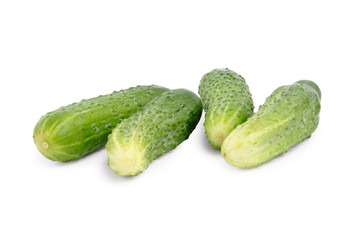 Cucumber