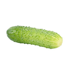 Cucumber